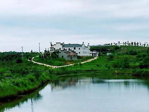 新洲民宿與沙家浜深度游攻略 | 江南水鄉(xiāng)的詩(shī)意棲居與紅色記憶之旅